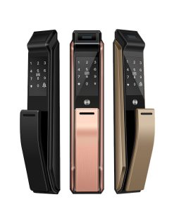 Khóa vân tay cao cấp Tsmart TW06