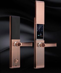 Khóa vân tay điện tử thông minh Tsmart TW04