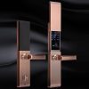 Khóa vân tay điện tử thông minh Tsmart TW04