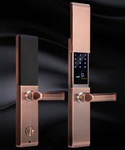 Khóa vân tay điện tử thông minh Tsmart TW04