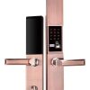 Khóa vân tay điện tử thông minh Tsmart TW04