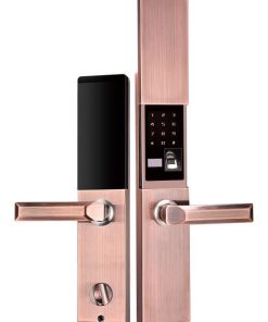 Khóa vân tay điện tử thông minh Tsmart TW04