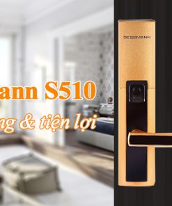 Khóa Cửa Gỗ Dessmann S510 II