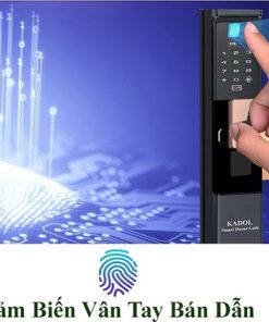 Khóa Cửa Vân Tay Kadol K768 WIFI-4G
