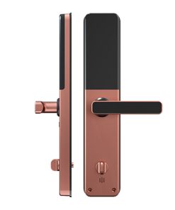 Khoá thông minh cao cấp WOLEX MT18 Khoá cửa vân tay WOLEX ML33